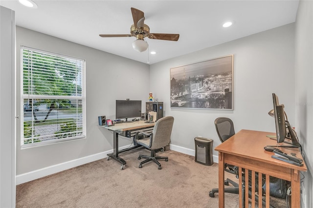 5317 Black Pine Dr, Tampa, FL 33624 - photo 25