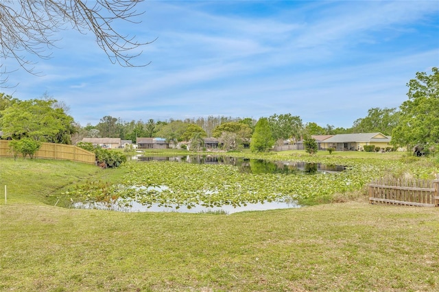 5317 Black Pine Dr, Tampa, FL 33624 - photo 36