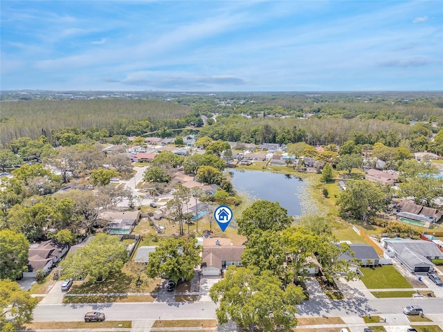 5317 Black Pine Dr, Tampa, FL 33624 - photo 39
