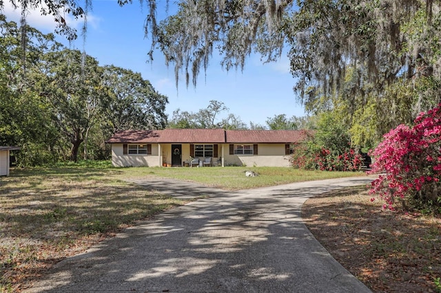 9825 Casey Dr, New Port Richey, FL 34654 - ranch-style home featuring driveway, stucco siding, and a front yard