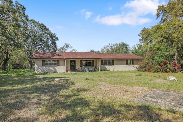 9825 Casey Dr, New Port Richey, FL 34654 - back of house featuring stucco siding and a yard