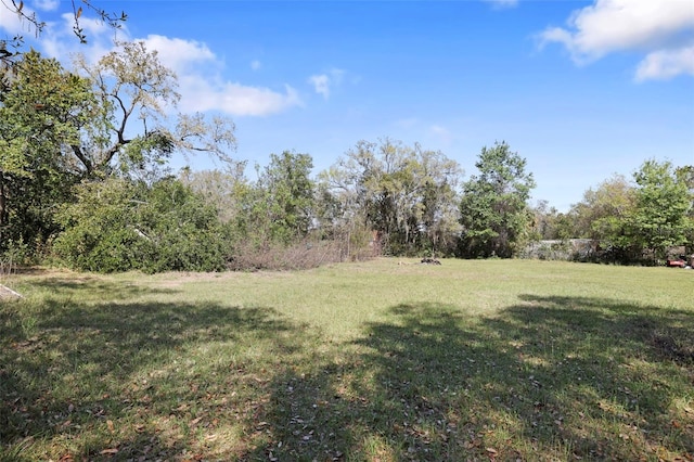 9825 Casey Dr, New Port Richey, FL 34654 - view of yard