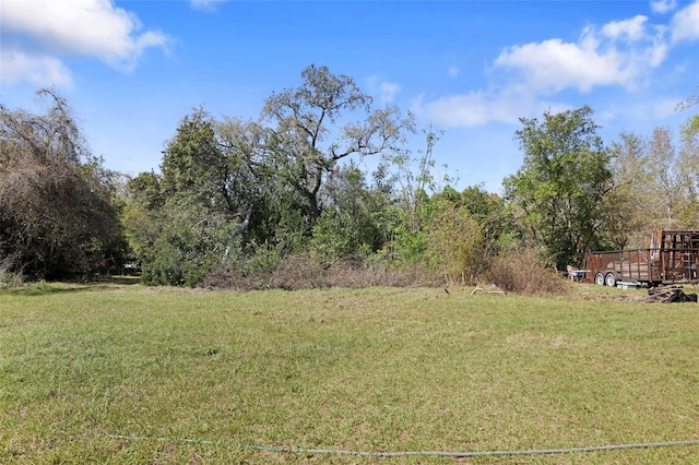 9825 Casey Dr, New Port Richey, FL 34654 - view of yard