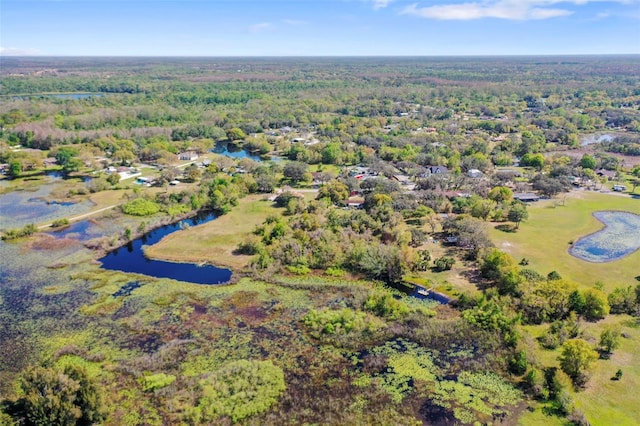 9825 Casey Dr, New Port Richey, FL 34654 - bird's eye view featuring a forest view and a water view