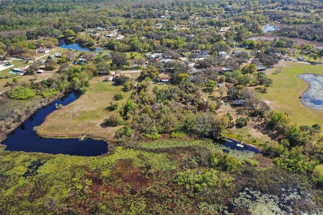 9825 Casey Dr, New Port Richey, FL 34654 - bird's eye view with a wooded view and a water view