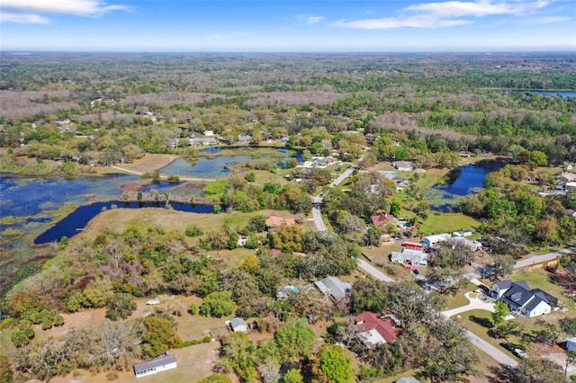9825 Casey Dr, New Port Richey, FL 34654 - drone / aerial view with a forest view and a water view
