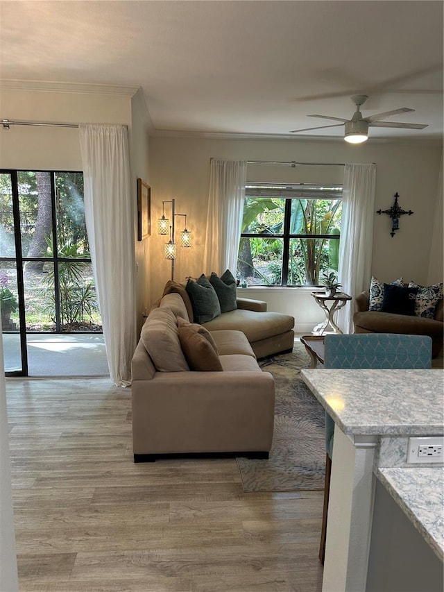 2220 Chianti Pl Unit 8-0817, Palm Harbor, FL 34683 - living area featuring plenty of natural light, light wood-style floors, ceiling fan, and ornamental molding