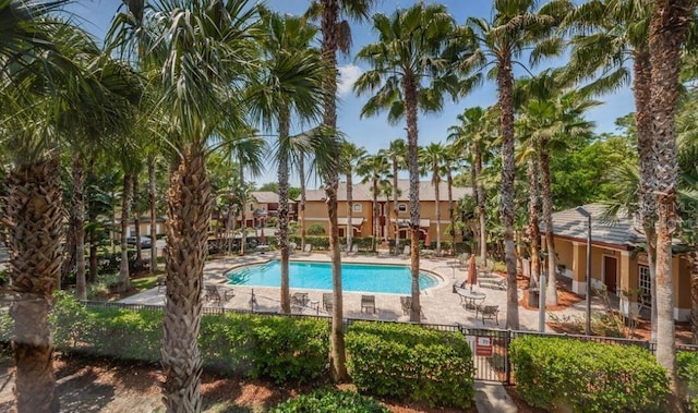 2220 Chianti Pl Unit 8-0817, Palm Harbor, FL 34683 - community pool with a patio area and a residential view