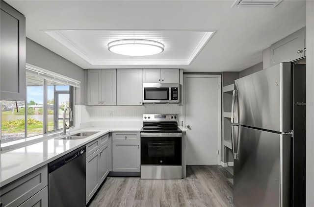 kitchen featuring gray cabinets, a sink, stainless steel appliances, and a raised ceiling