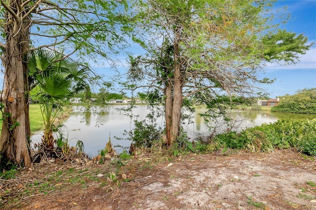 water view