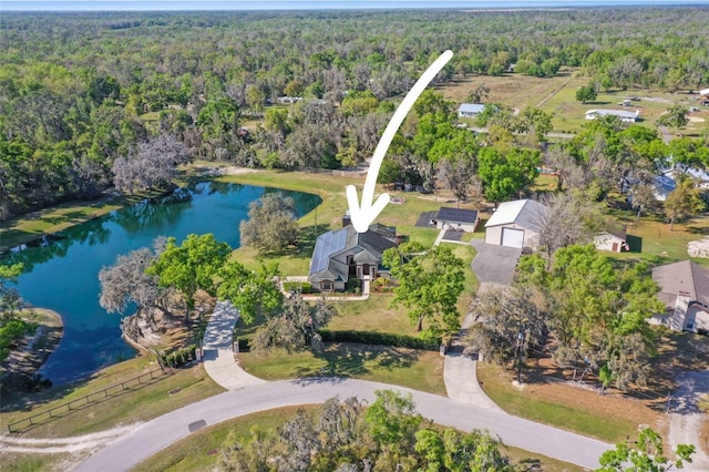8403 Southwood Pines St, Lithia, FL 33547 - photo 4