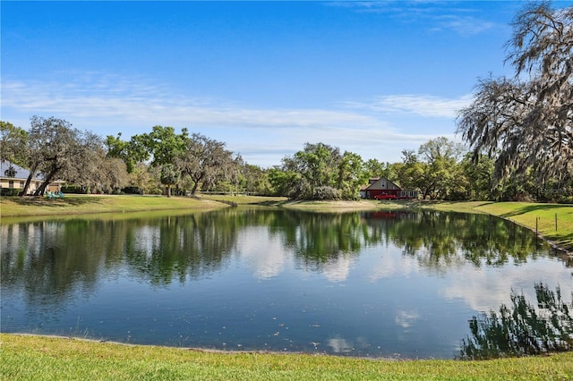 8403 Southwood Pines St, Lithia, FL 33547 - photo 63