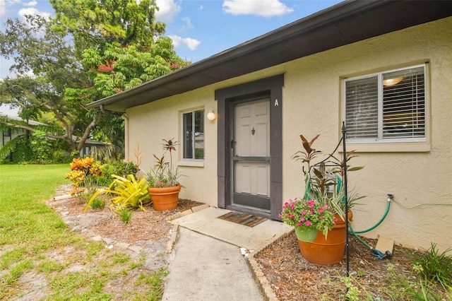 entrance to property with stucco siding and a yard
