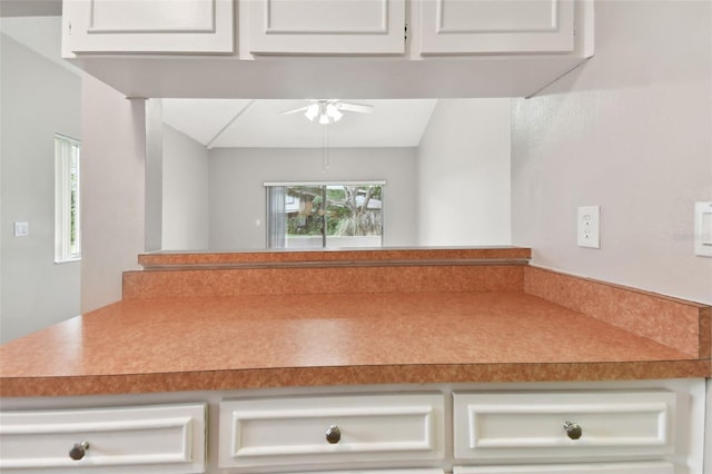 room details with a ceiling fan
