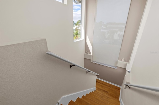 2050 N Pointe Alexis Dr, Tarpon Springs, FL 34689 - stairway featuring baseboards and wood finished floors