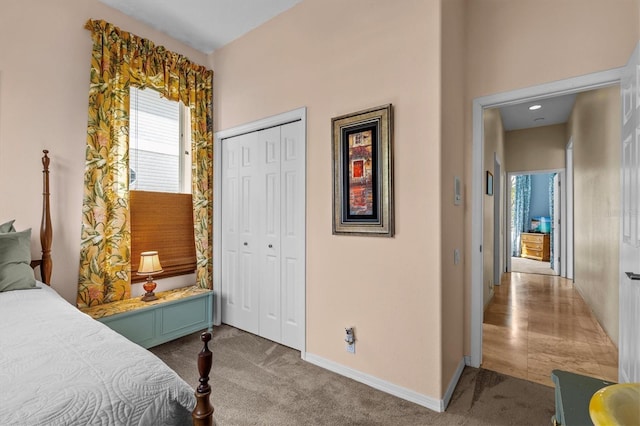 2050 N Pointe Alexis Dr, Tarpon Springs, FL 34689 - bedroom with carpet floors, baseboards, and a closet