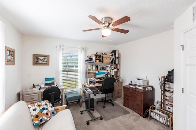 5253 1st Ave N, Saint Petersburg, FL 33710 - photo 27