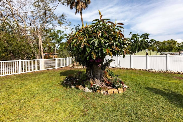 5253 1st Ave N, Saint Petersburg, FL 33710 - photo 39
