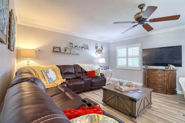 8326 Archwood Cir, Tampa, FL 33615 - living room with ornamental molding, light wood finished floors, and ceiling fan