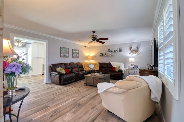 8326 Archwood Cir, Tampa, FL 33615 - living area featuring a ceiling fan, ornamental molding, and light wood finished floors