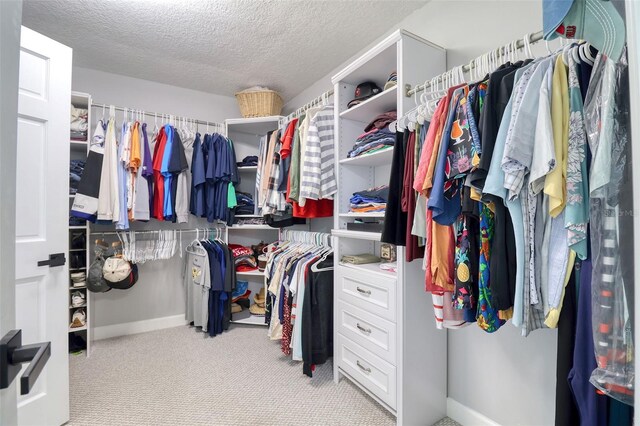 8326 Archwood Cir, Tampa, FL 33615 - spacious closet featuring carpet flooring