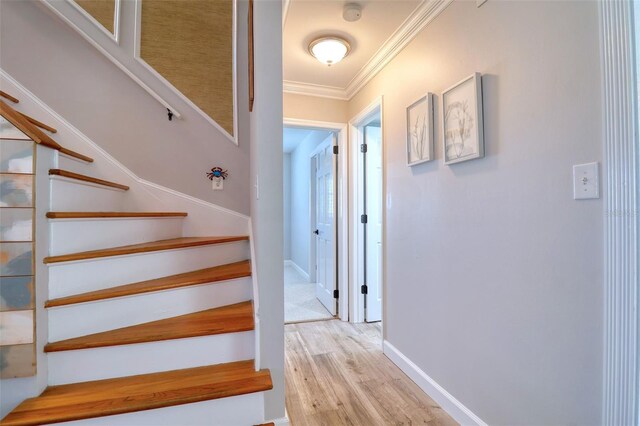 8326 Archwood Cir, Tampa, FL 33615 - stairs featuring baseboards, wood finished floors, and ornamental molding