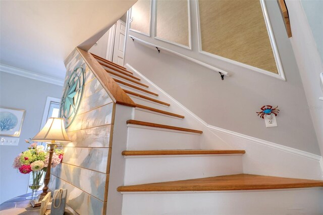 8326 Archwood Cir, Tampa, FL 33615 - stairway featuring crown molding