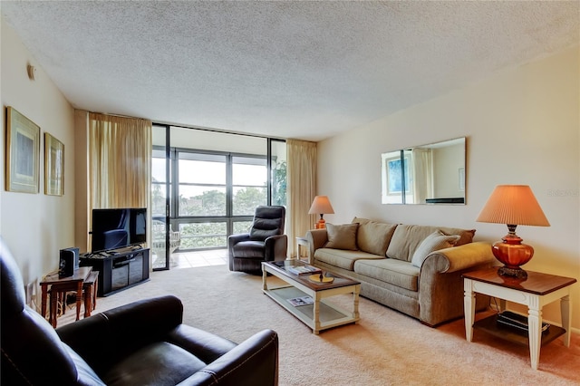 14130 Rosemary Ln Unit 3312, Largo, FL 33774 - living room with floor to ceiling windows, carpet, and a textured ceiling