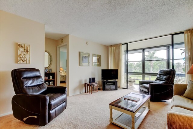 14130 Rosemary Ln Unit 3312, Largo, FL 33774 - living area featuring floor to ceiling windows, carpet, and a textured ceiling