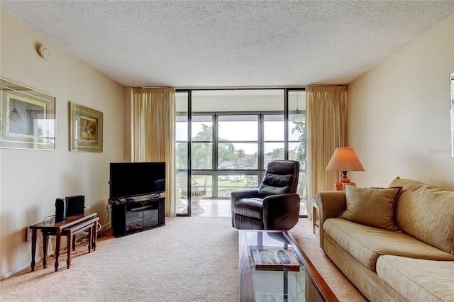 14130 Rosemary Ln Unit 3312, Largo, FL 33774 - living area with carpet floors, a textured ceiling, and a wall of windows