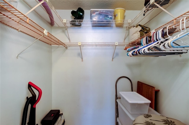 14130 Rosemary Ln Unit 3312, Largo, FL 33774 - view of walk in closet