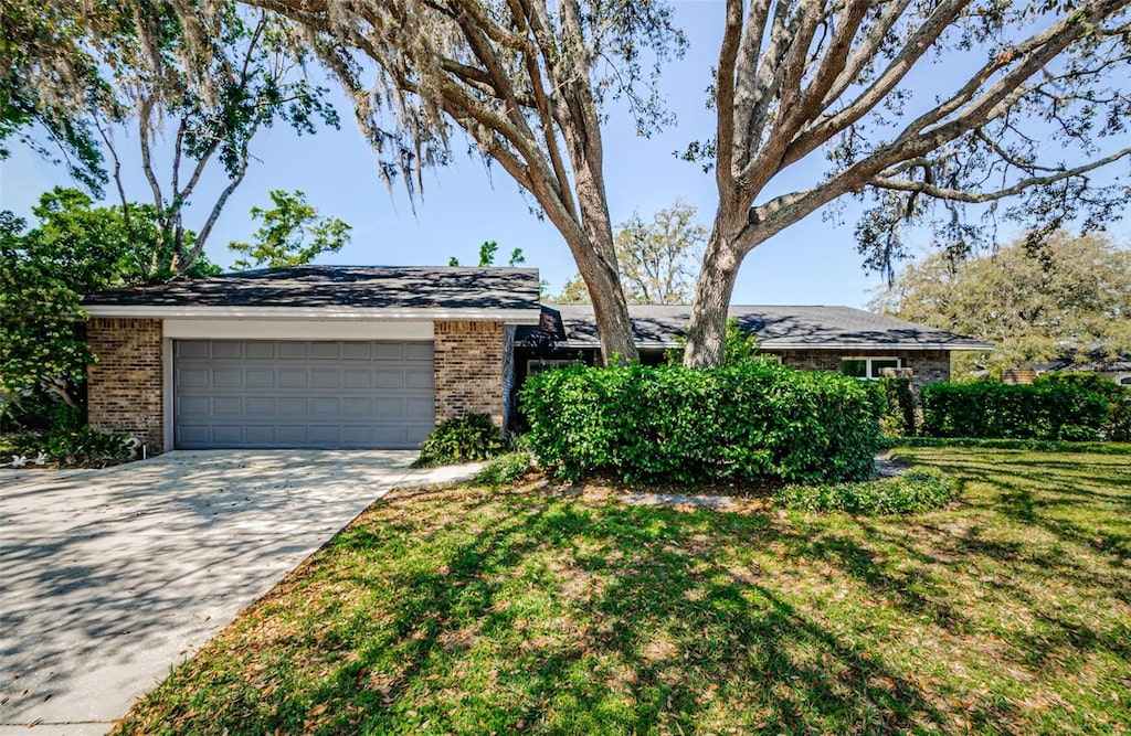 11510 Moffat Pl, Temple Terrace, FL 33617 - photo 1