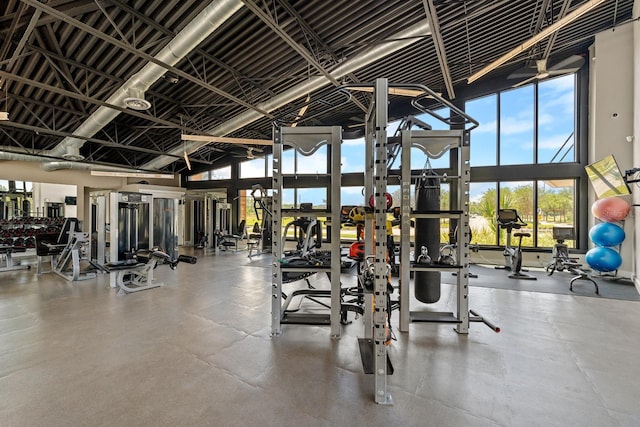 exercise room featuring a healthy amount of sunlight and a towering ceiling