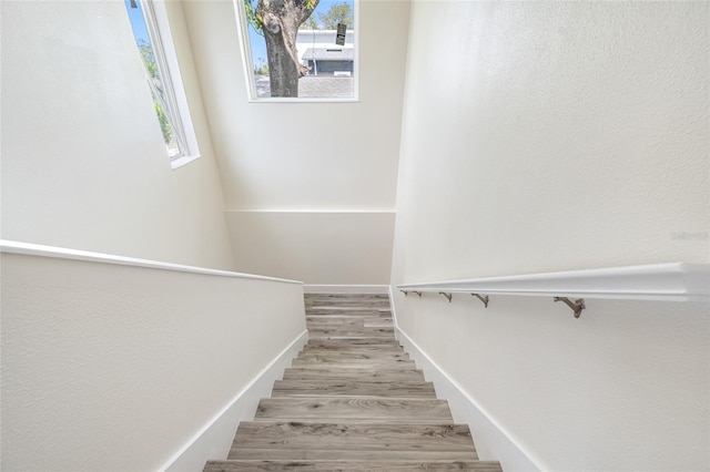 1030 11th Ave S, Saint Petersburg, FL 33705 - photo 38