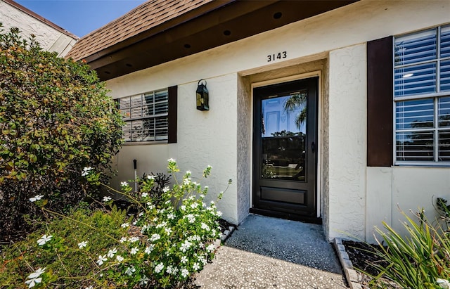 3143 Mission Grove Dr, Palm Harbor, FL 34684 - view of exterior entry featuring roof with shingles and stucco siding
