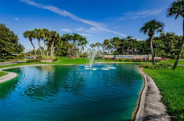 3143 Mission Grove Dr, Palm Harbor, FL 34684 - exterior space