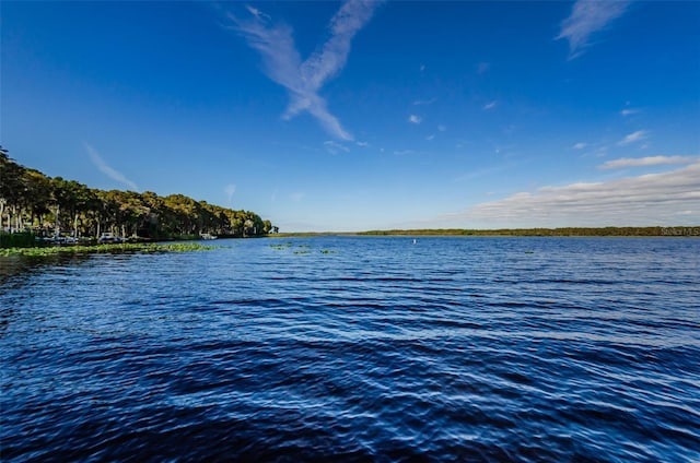 3143 Mission Grove Dr, Palm Harbor, FL 34684 - view of water feature