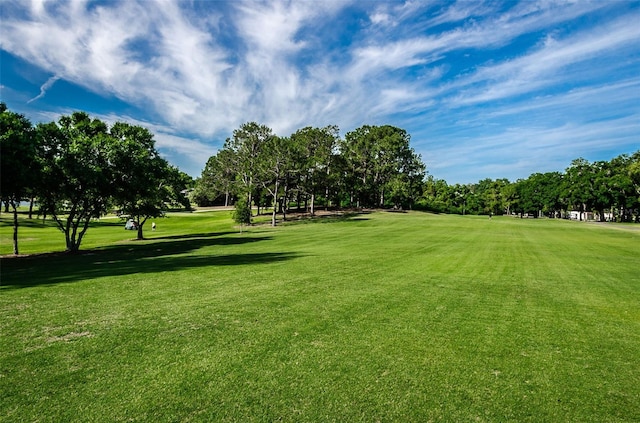 3143 Mission Grove Dr, Palm Harbor, FL 34684 - view of home's community featuring golf course view and a yard
