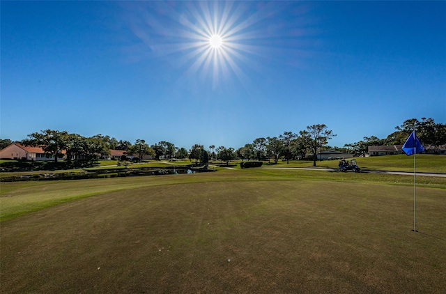 3143 Mission Grove Dr, Palm Harbor, FL 34684 - view of community featuring golf course view and a yard