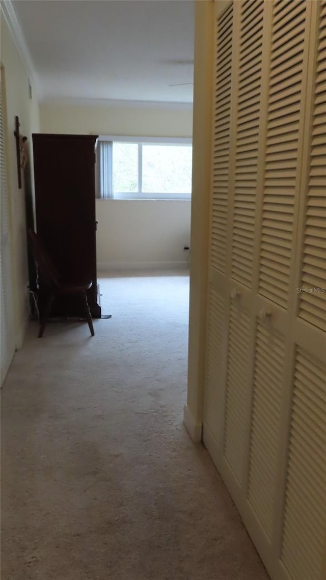 2221 Norwegian Dr Unit 43, Clearwater, FL 33763 - photo 38