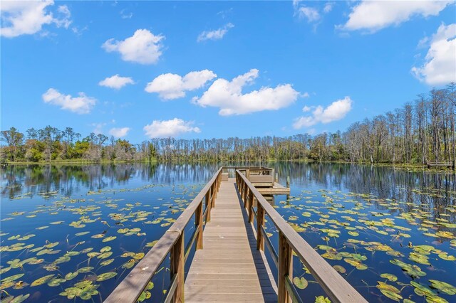 16119 Carencia Ln, Odessa, FL 33556 - photo 25