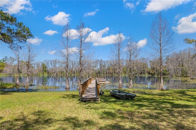 16119 Carencia Ln, Odessa, FL 33556 - photo 28
