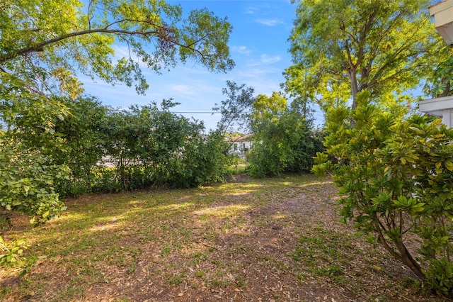 view of yard