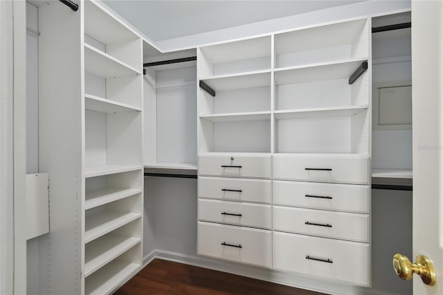 walk in closet with dark wood-style floors