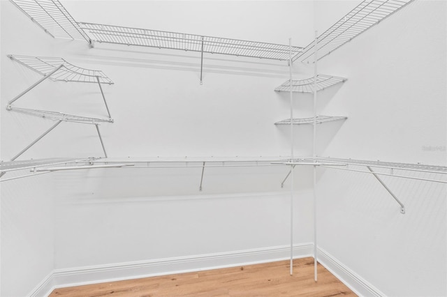 30900 Spruceberry Ct, Wesley Chapel, FL 33543 - spacious closet featuring light wood-style flooring