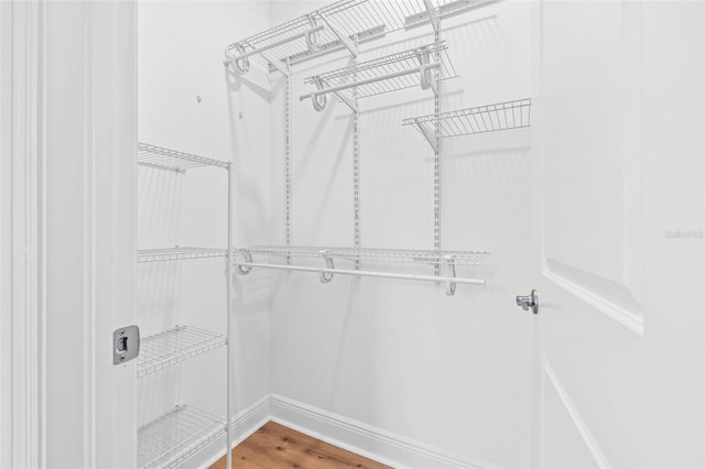 30900 Spruceberry Ct, Wesley Chapel, FL 33543 - walk in closet featuring wood finished floors