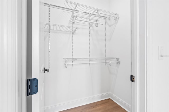 30900 Spruceberry Ct, Wesley Chapel, FL 33543 - walk in closet with wood finished floors