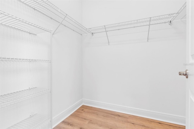 30900 Spruceberry Ct, Wesley Chapel, FL 33543 - spacious closet featuring light wood-style floors