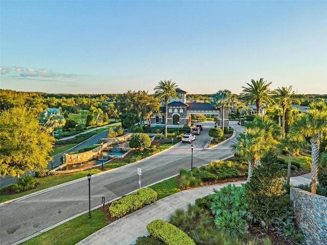 30900 Spruceberry Ct, Wesley Chapel, FL 33543 - view of property's community