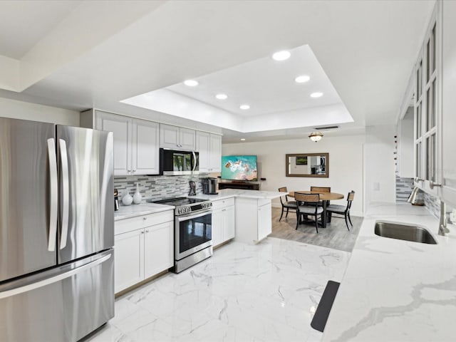 1666 N Dakota Ave NE, Saint Petersburg, FL 33703 - kitchen with decorative backsplash, appliances with stainless steel finishes, a sink, light stone counters, and a tray ceiling